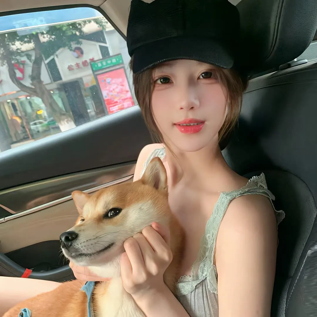 与鲨鱼游弋
